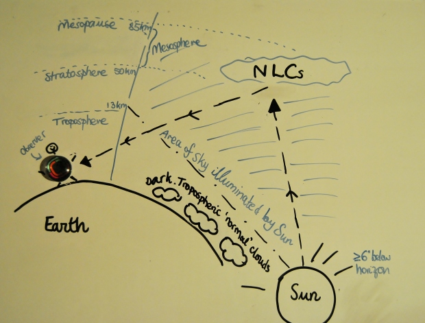 NLC diagram